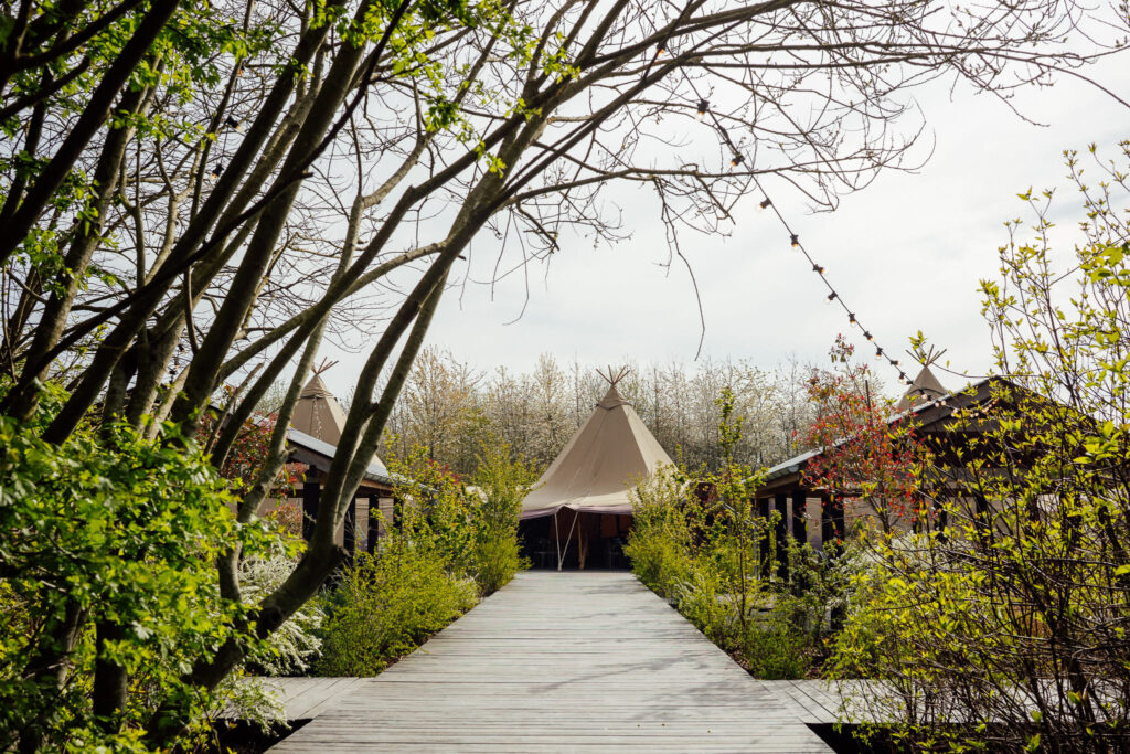 Image 5 – The Tipis
