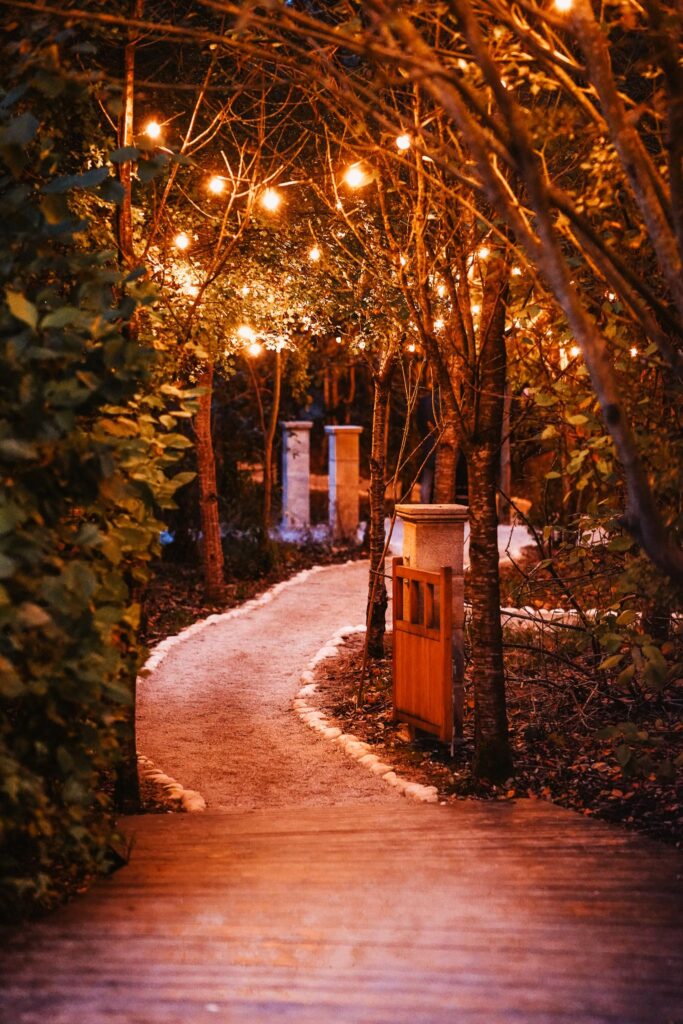 Image 4 – The Forest Walkway