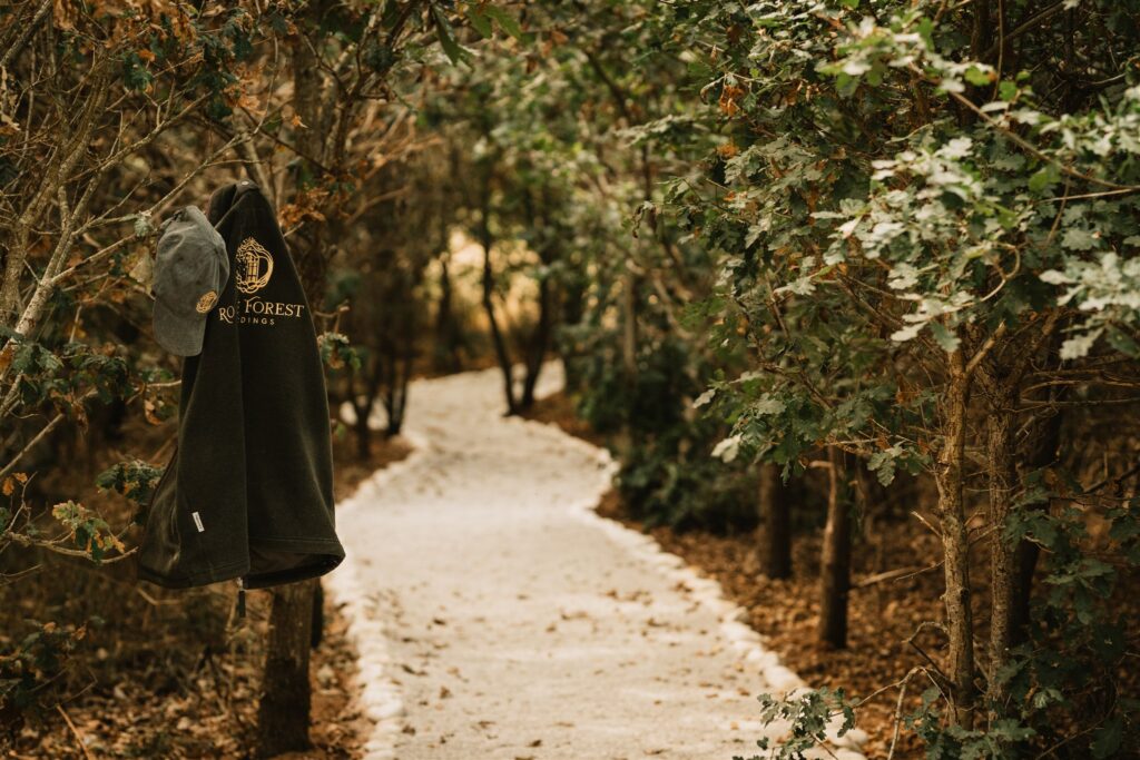 Image 1 – The Forest Walkway